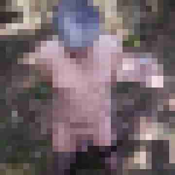 tom_devot