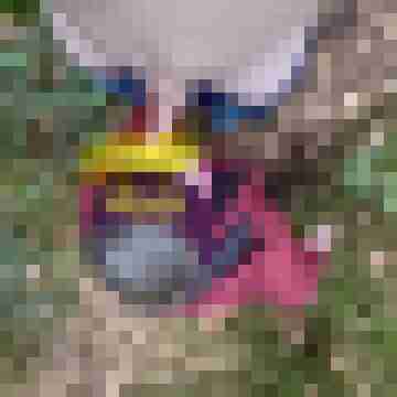 naturfreund1988