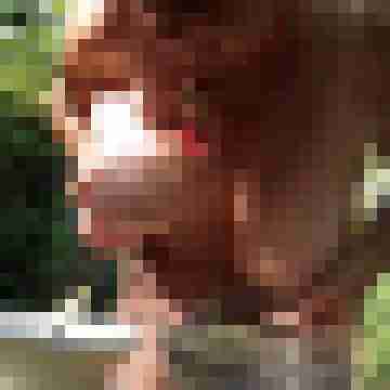 Letsy4u2c