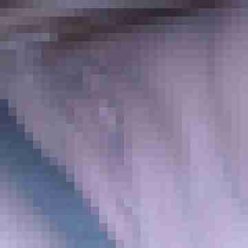 Sein_Fick_Stueck
