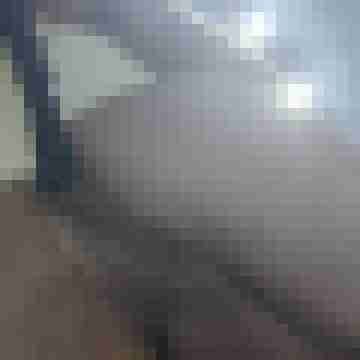 Geiler09