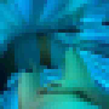 Adam_2023