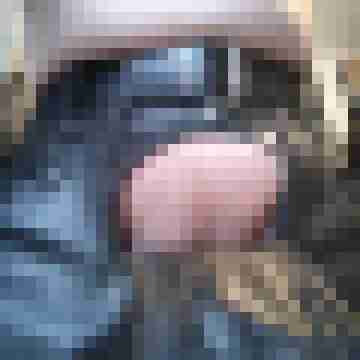 GenuineGasoline