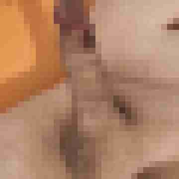 lunkwill
