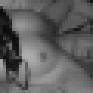 lisa733