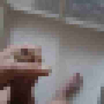 DJteiger