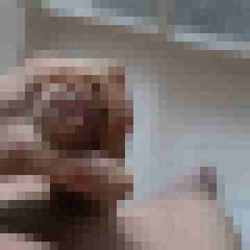 DJteiger