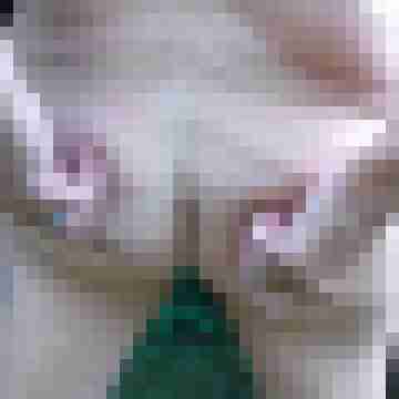 Letsy4u2c