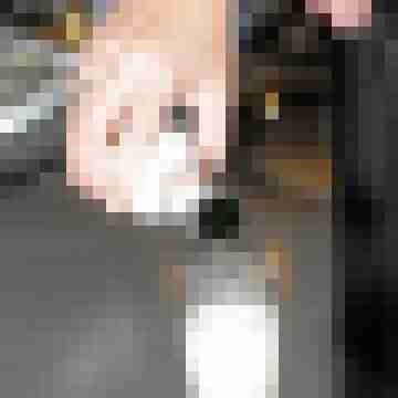 seemann0706