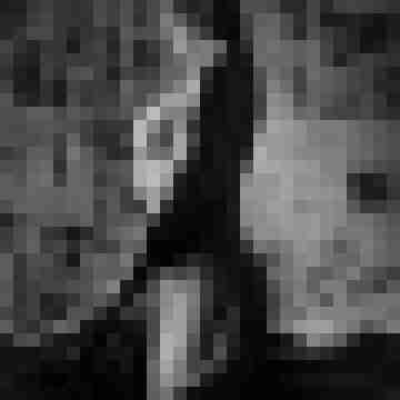 Phorus