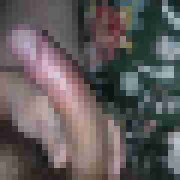 Garro6