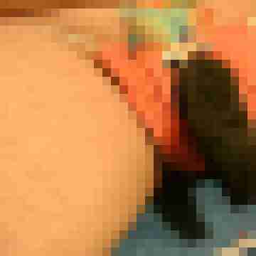 zappizapp1