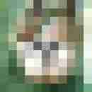 basilio