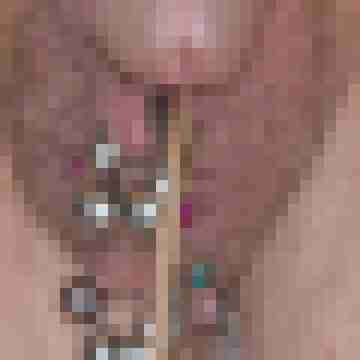 duiz