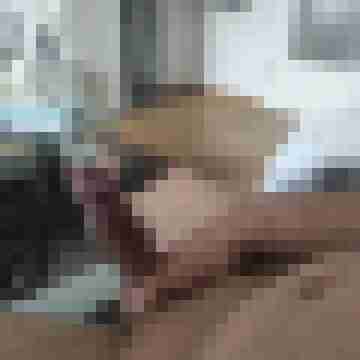 Nur_Real42