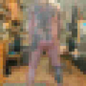 stierodin53