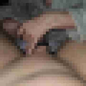 Tom_Bereit