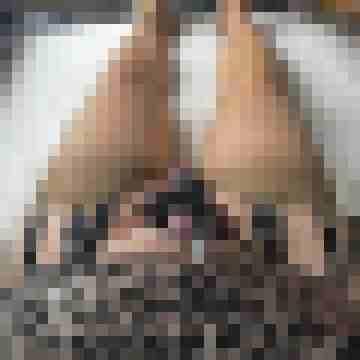 Zofe_Lisa