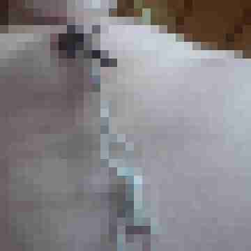 andrex666x