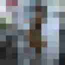 Phorus