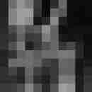 Phorus