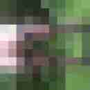 JanaTV