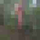 gonzaleshh
