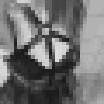 Wh4t3v3r