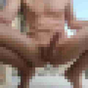 shavedcock7