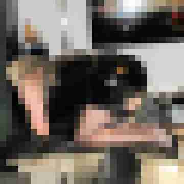 seemann0706