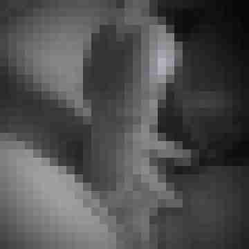 MisterCharming