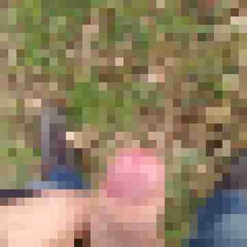Nacktfrosch-xxl