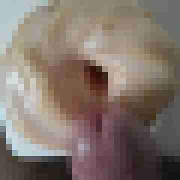 flinkezunge04