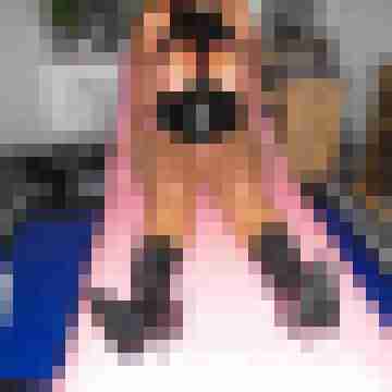 skorstier6368