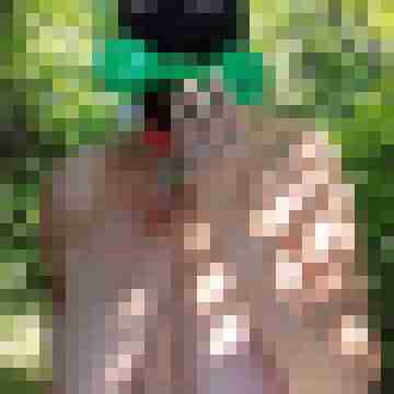 Letsy4u2c