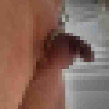 Gerd6
