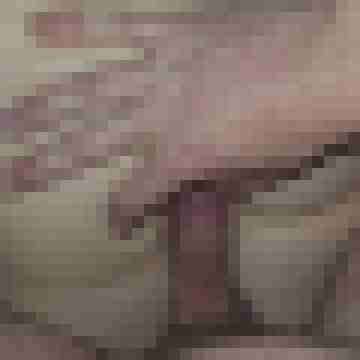 Tom_Bereit