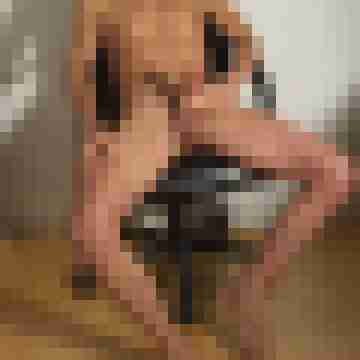horace666