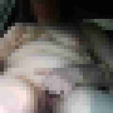 NobAnj5687