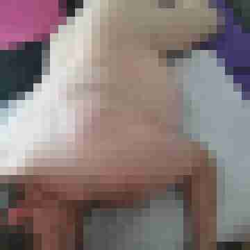 flinkezunge04