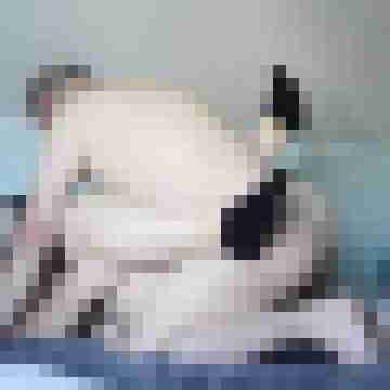 NobAnj5687