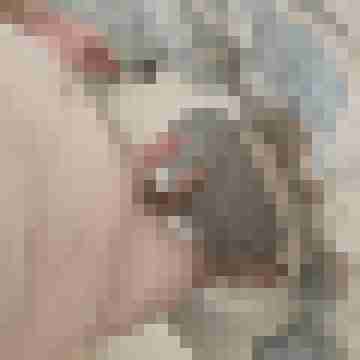 SkillfulHands82
