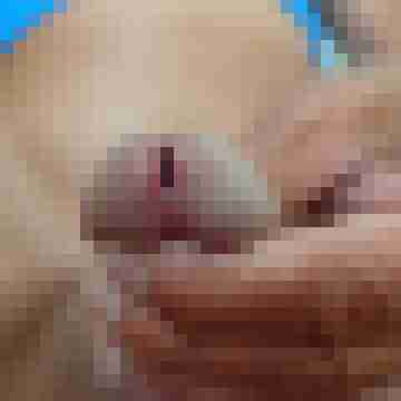 freddyfick