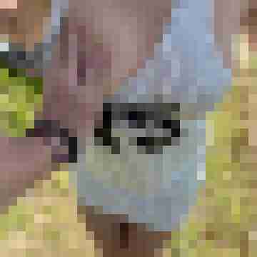 Slut-Wue