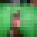 Riese195