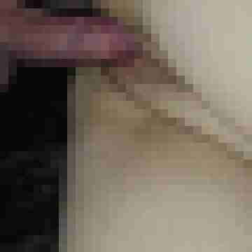 Tom_Bereit