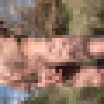 Mogly59