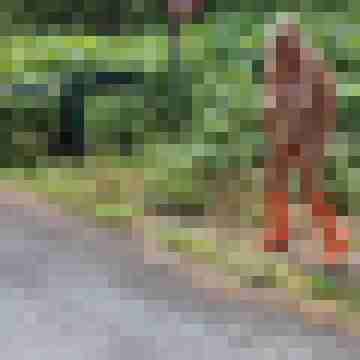 Letsy4u2c