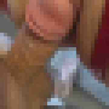 AnSy