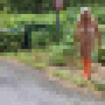 Letsy4u2c